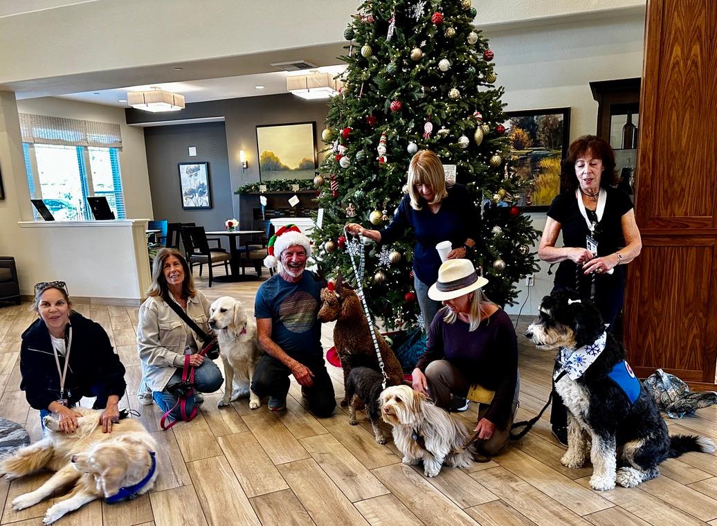 Unleashing the Love: Happy Holidays from the ALC Team